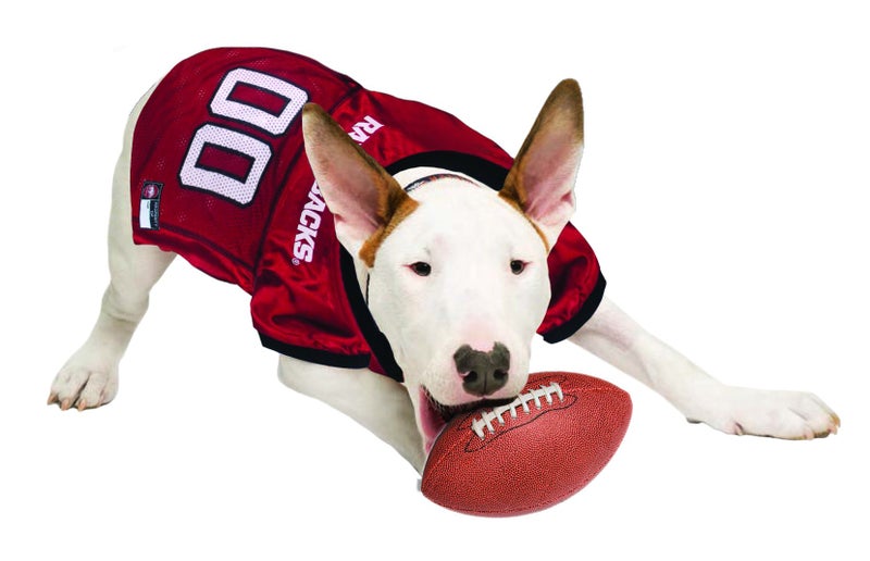 Pets First NCAA College Arkansas Razorbacks Mesh Jersey for DOGS & CATS, X-Large. Licensed Dog Jersey with your Favorite Football/Basketball College Team - Image 3